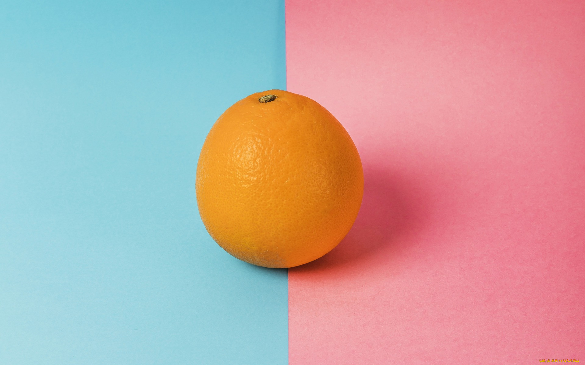 , , , , orange, 